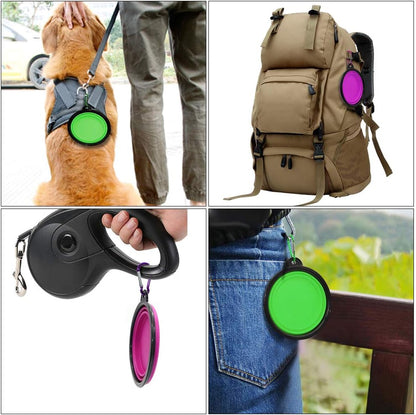 Collapsible Pet Bowls for Dogs and Cats, 2-Pack Portable Water and Feeding Dishes with Carabiners (Small, Green and Purple)