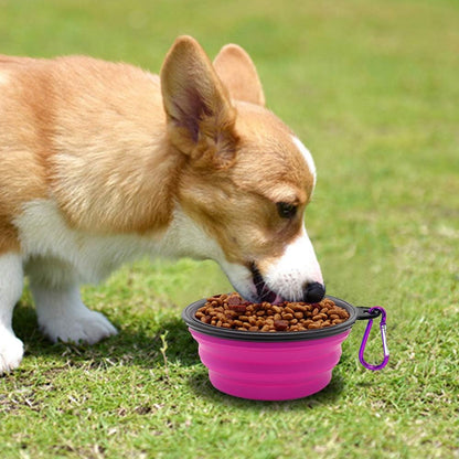 Collapsible Pet Bowls for Dogs and Cats, 2-Pack Portable Water and Feeding Dishes with Carabiners (Small, Green and Purple)