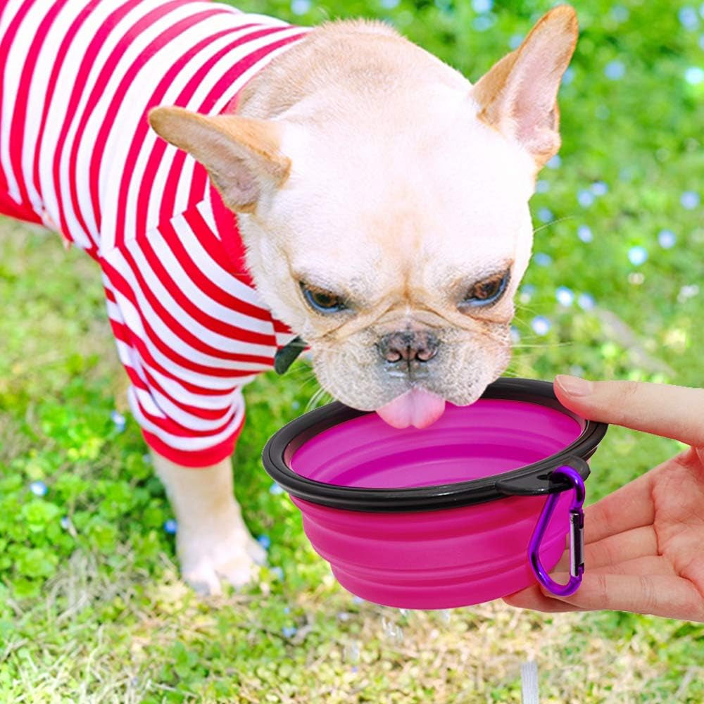 Collapsible Pet Bowls for Dogs and Cats, 2-Pack Portable Water and Feeding Dishes with Carabiners (Small, Green and Purple)