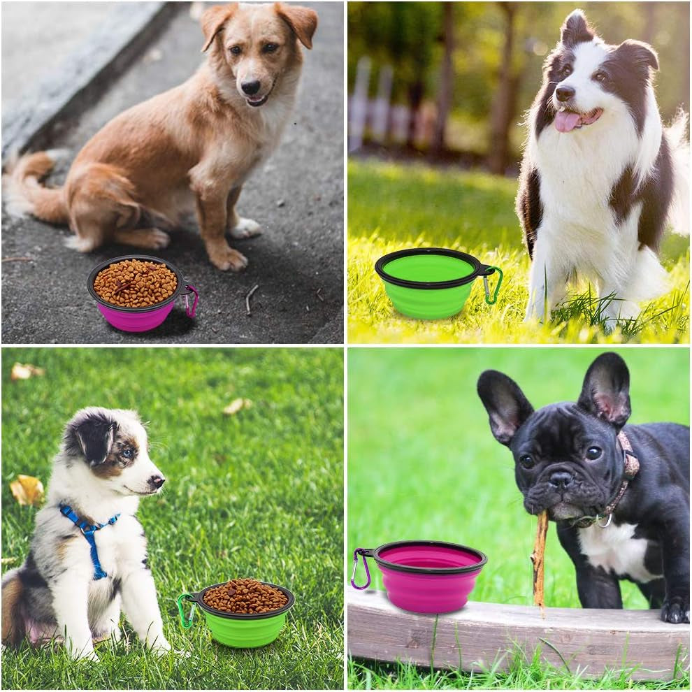 Collapsible Pet Bowls for Dogs and Cats, 2-Pack Portable Water and Feeding Dishes with Carabiners (Small, Green and Purple)